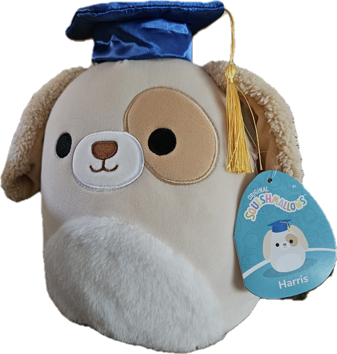 Original Squishmallow Graduation 8" inch