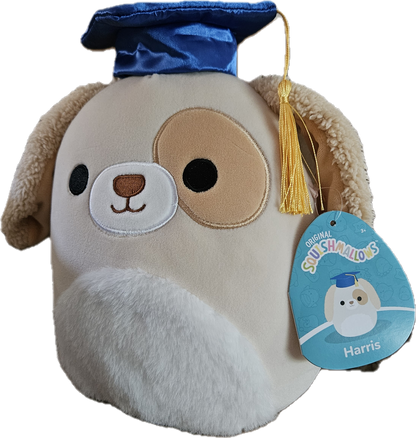 Original Squishmallow Graduation 8" inch